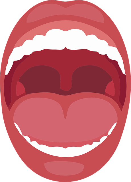 dental-burs-640x480-14821069.png