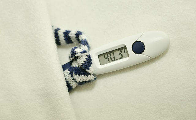 dog thermometers