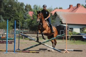 equestrian-equipment-640x480-17347126.jpeg