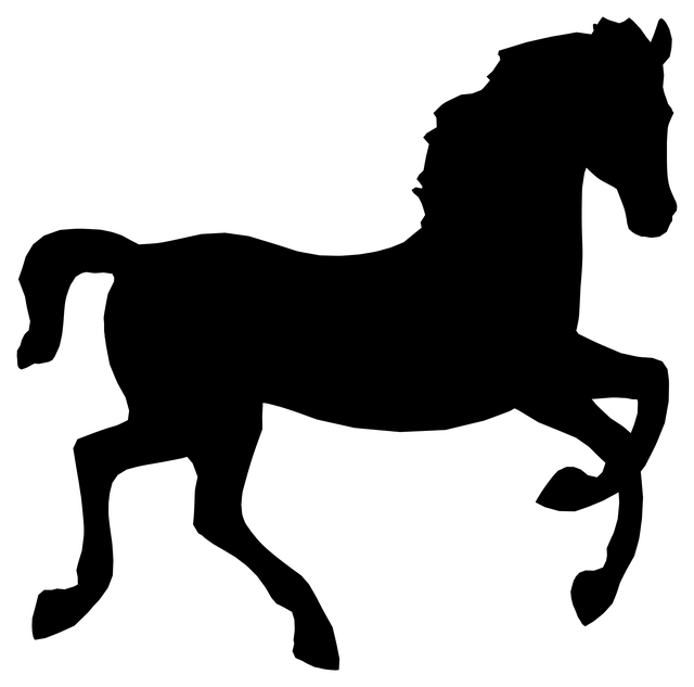 equestrian equipment