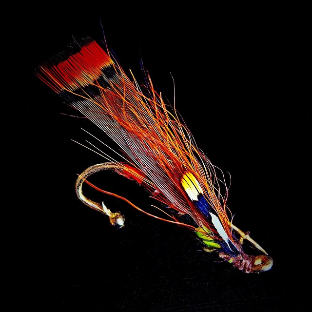fly-fishing-flies-640x480-38119047.jpeg