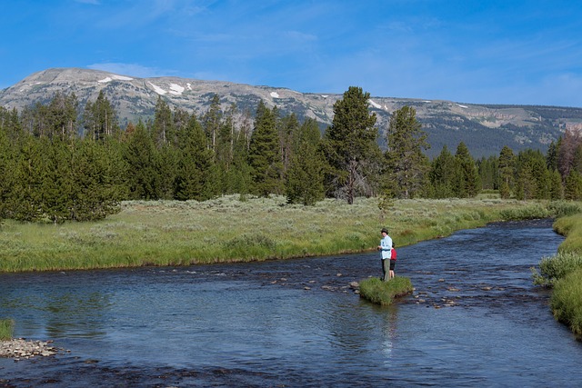 fly fishing flies