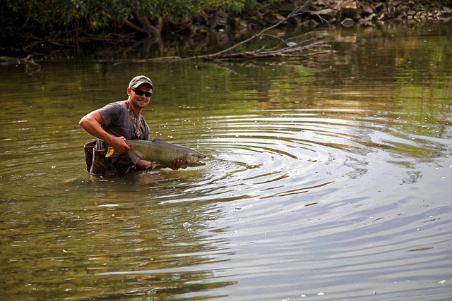 fly fishing flies