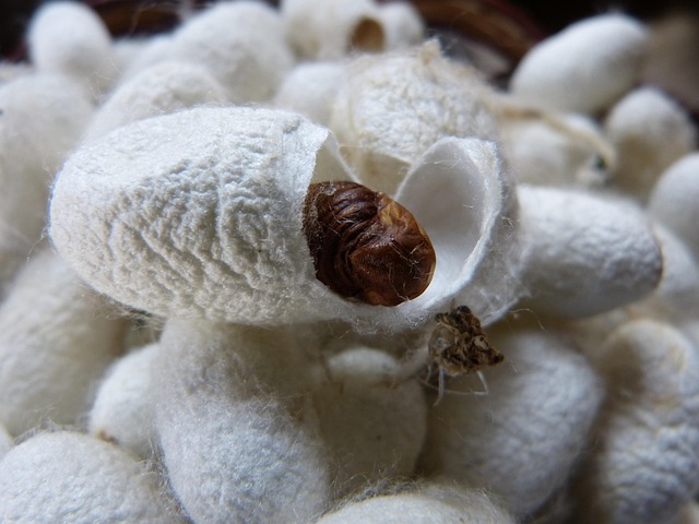 high-fiber-cereals-640x480-73469211.jpeg