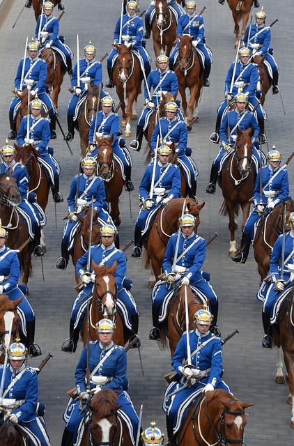 light guards