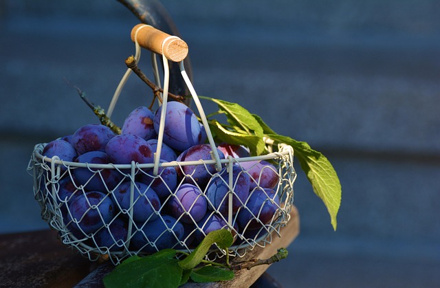 pegboard baskets