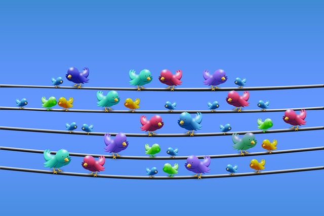 social media management