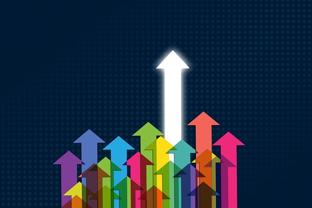 social media management