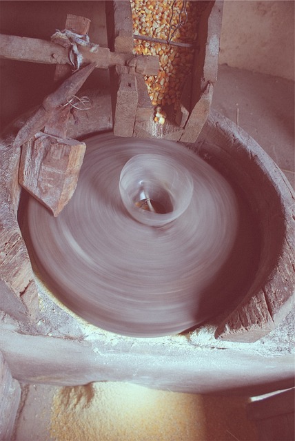 stump-grinding-640x480-55646369.jpeg