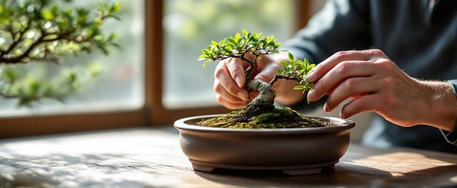 tree trimming