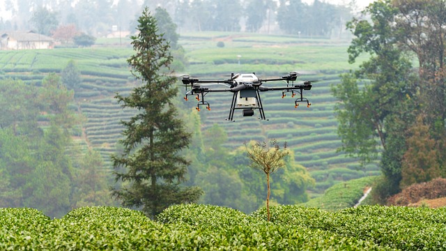 uavs