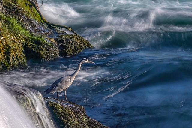 water-640x480-73750868.jpeg
