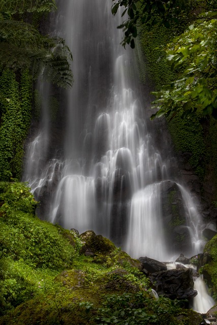 water-640x480-80240796.jpeg