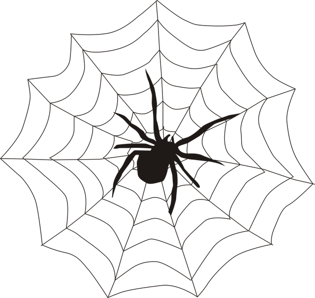 web-design-640x480-45218138.png