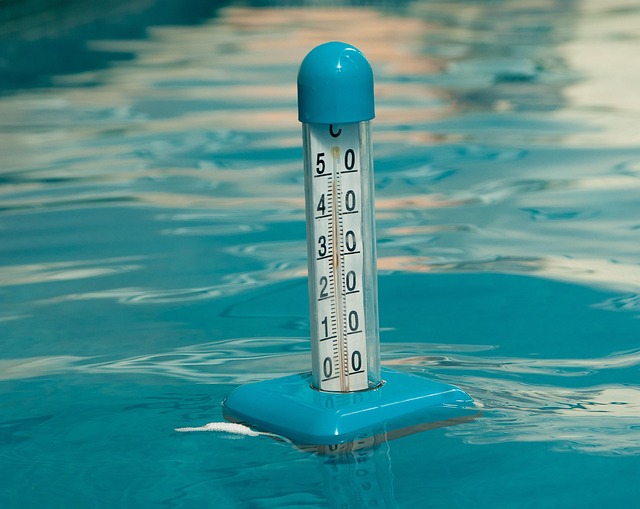 dog-thermometers-640x480-18733576.jpeg