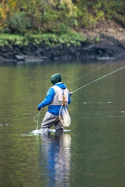 fly fishing flies