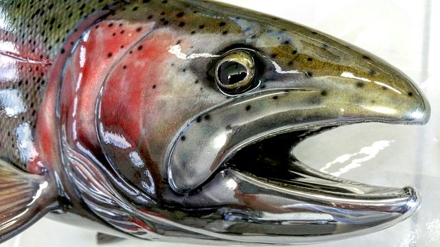 fly fishing flies