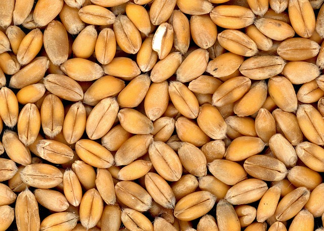 high-fiber-cereals-640x480-41362858.jpeg