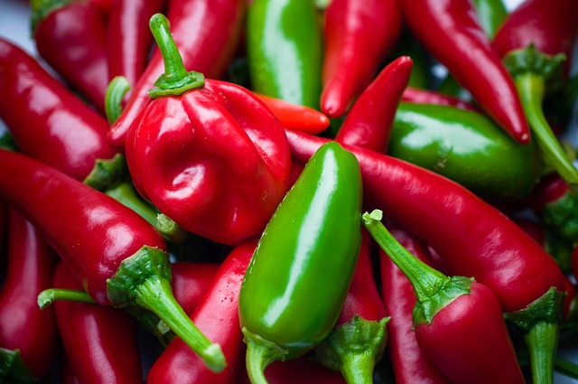jalapenos peppers
