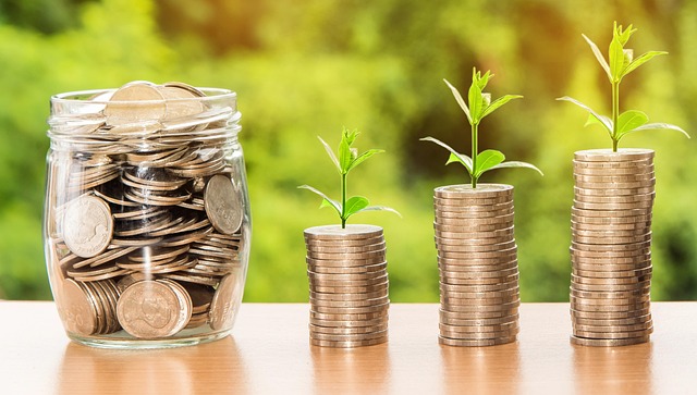 personal finance software