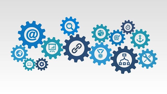 search engine optimization