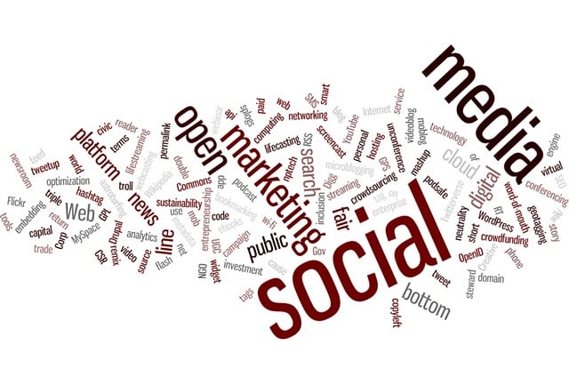 search engine optimization