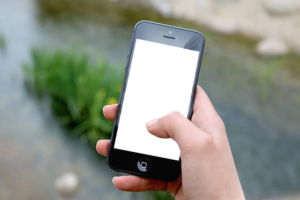 tree-removal-640x480-80757621.png