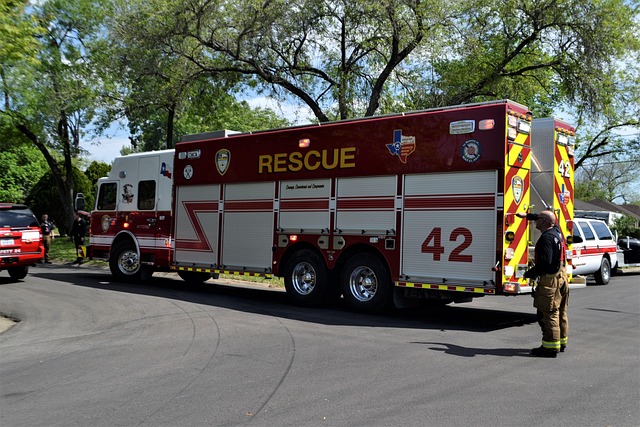 tree-services-640x480-25304236.jpeg