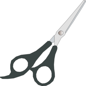 tree-trimming-640x480-68255811.png