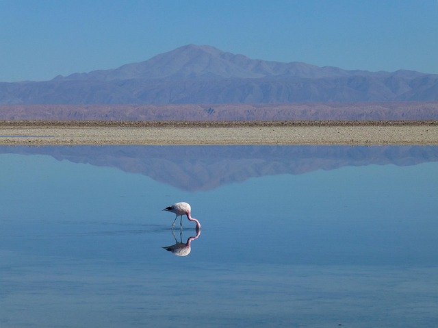 water-640x480-72526803.jpeg