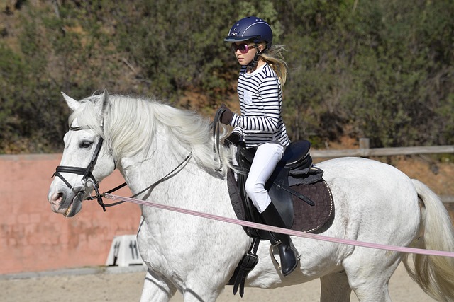 equestrian equipment