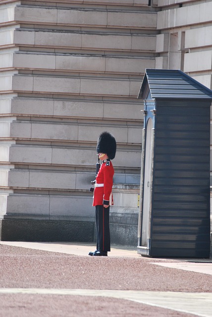 light guards