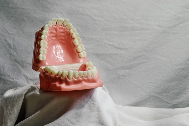 dental-burs-640x480-40143242.jpeg