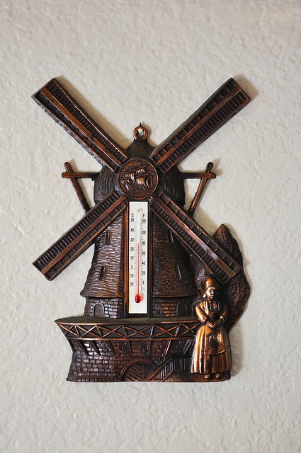 dog thermometers
