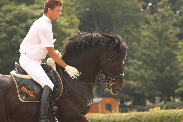 equestrian equipment