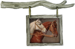equestrian-equipment-640x480-28796738.png