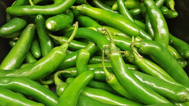 jalapenos peppers