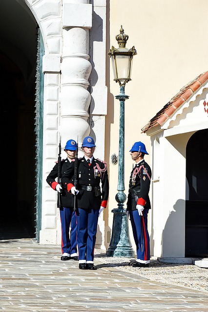 light guards