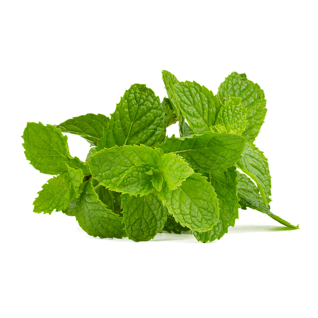 mint julep cups