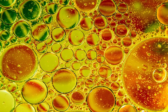 oil dispensing oil sprayers