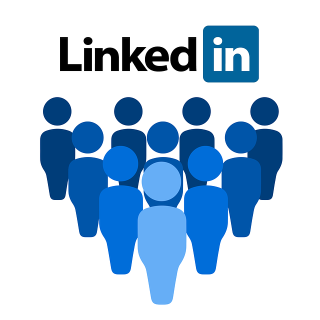 social media management