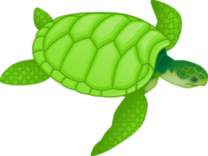 swimming-equipment-640x480-27951755.png