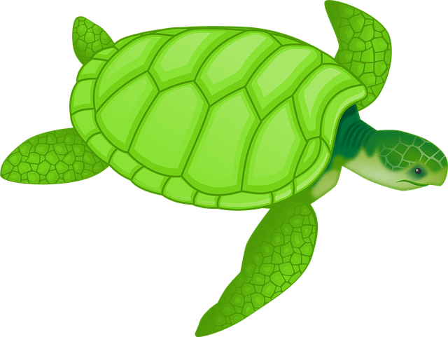 swimming-equipment-640x480-27951755.png