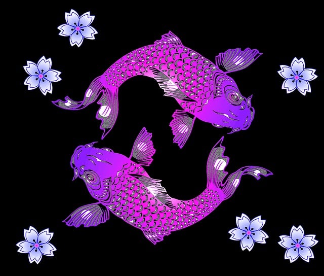 swimming equipment