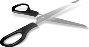 tree-trimming-640x480-12424231.png