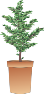 tree-trimming-640x480-65982957.png
