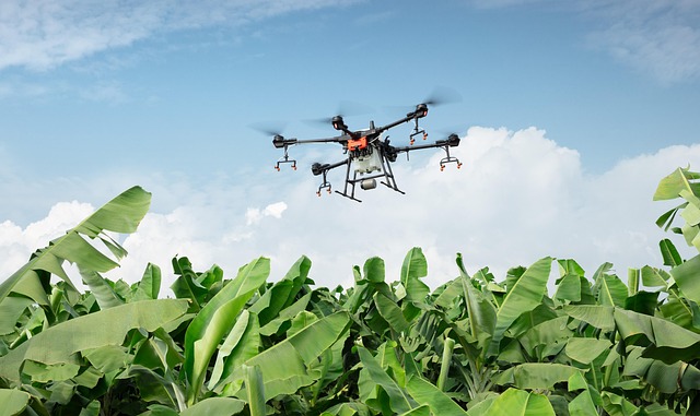 uavs