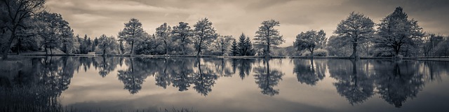 water