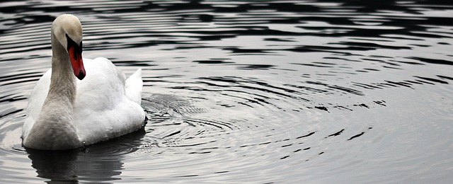 water-640x480-84977173.jpeg