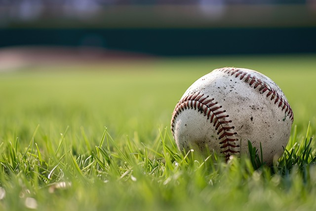 baseball equipment